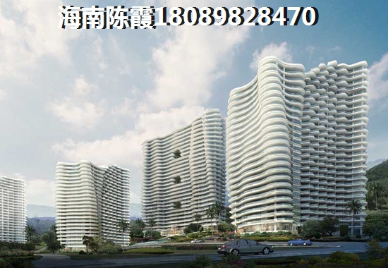 >2021三亚购房攻略 >2021三亚购房解读