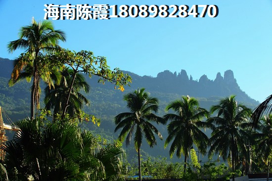 三亚小户型40万左右买哪里?2 三亚小户型40万左右买哪里?2