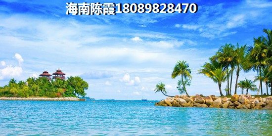 三亚是否宜居（三亚哪个地方的候鸟人比较多）