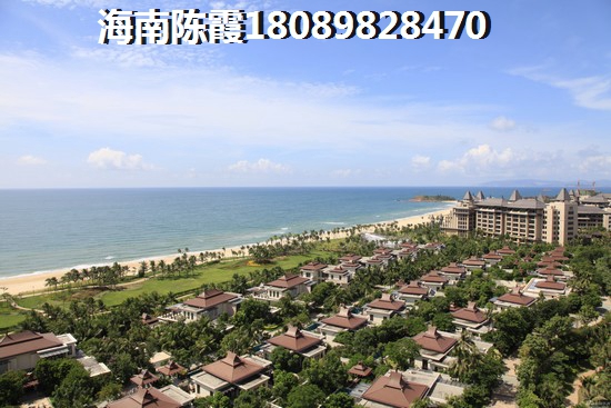 金手指·三亚一号还纸得买吗4