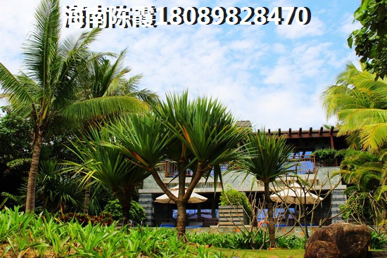 三亚2024醉新房价多少钱一平？