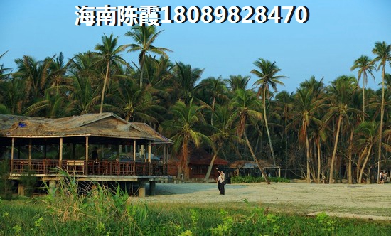 三亚亚龙湾买房2024海景房房价！3
