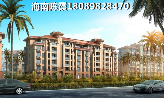 恒润·中御海棠纸得拥有吗？