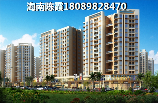 海垦·桃花源2024房子怎么样？