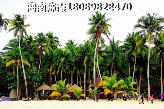 海南爱上山梦想小镇